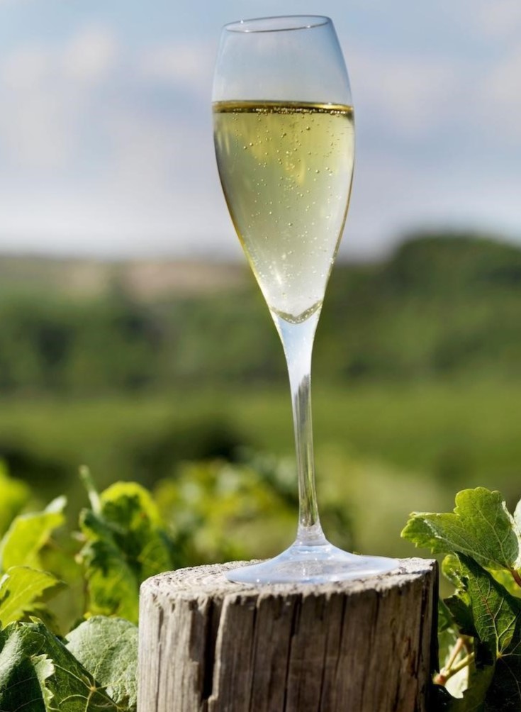 Ein Glas Cava in Penedes